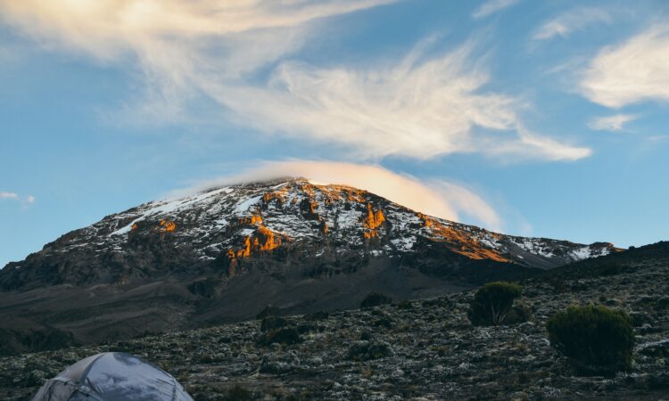 15 Days Tanzania Wildlife Safari & Mount Kilimanjaro Climb
