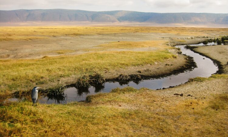 Entry Fees-Entrance Price for Ngorongoro Crater 2024-25