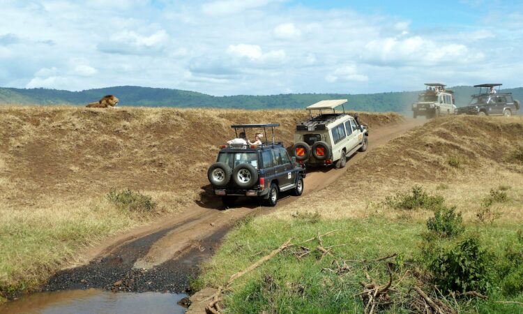 Essential Ngorongoro Park Rules & Regulations to Follow