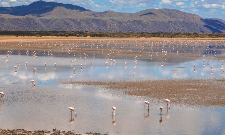The Lake Eyasi in Tanzania - Hadza Tribe & Safari Lodges