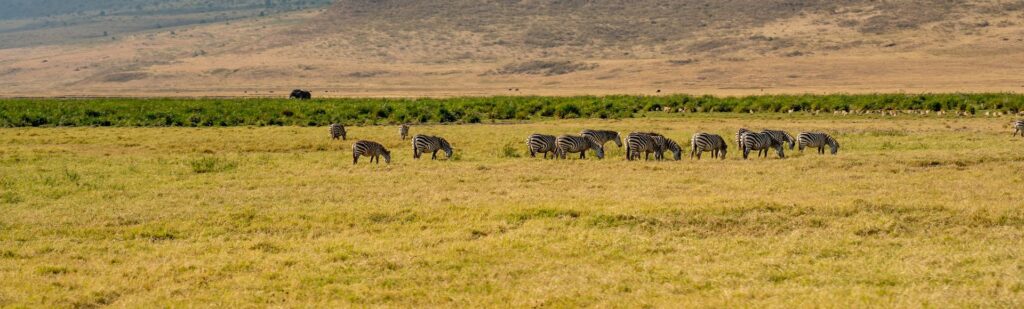 When to go - Best time to visit Ngorongoro Crater Tanzania