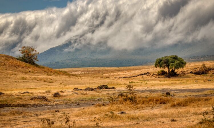 Climate & Weather of Ngorongoro