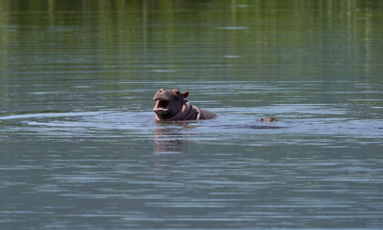 Ngorongoro Safari Tips