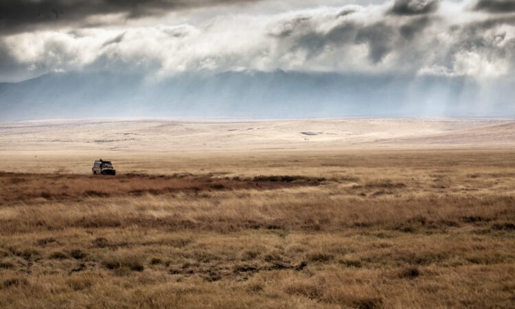 Ngorongoro in January