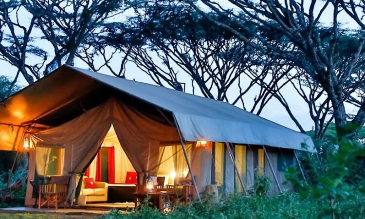 Staying safe while camping in Ngorongoro