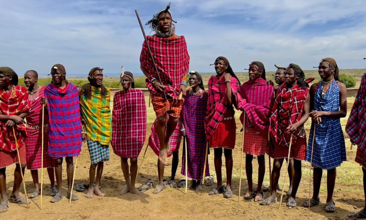 Why do the Maasai drink cattle blood